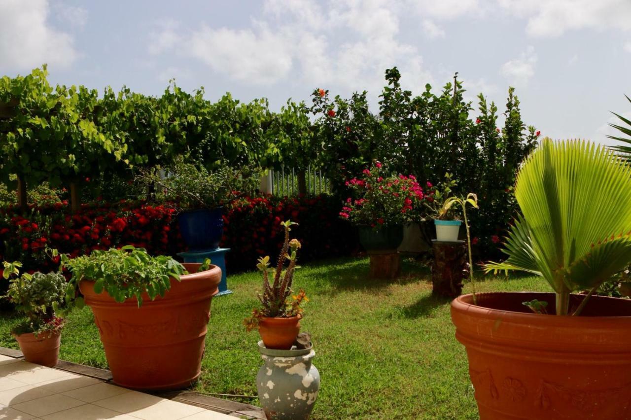 Bed & Breakfast - 6 Suites - Piscine Et Plage Pointe Faula Le Vauclin Exterior photo